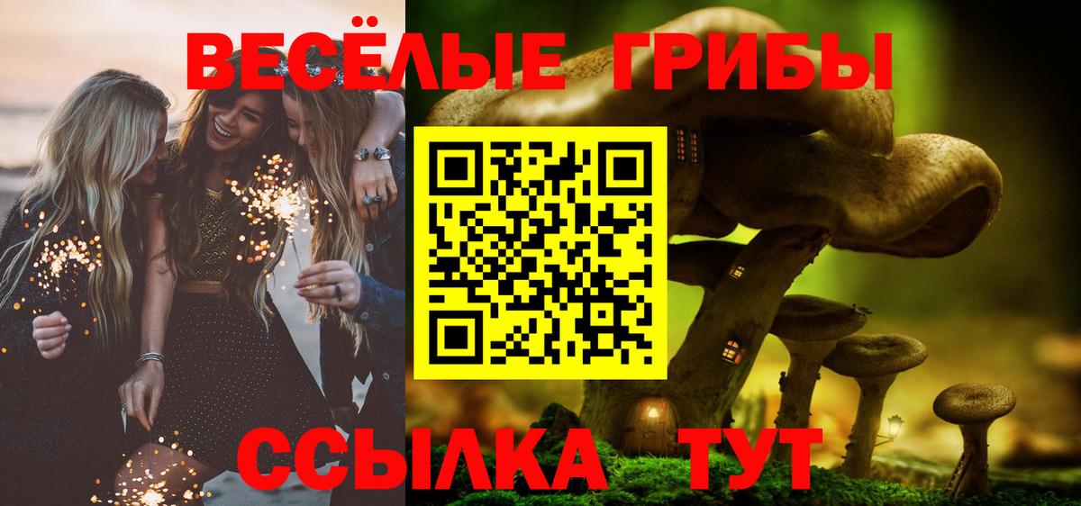 Гудермес  Псилоцибиновые грибы прущие грибы  Вход с VPN 
